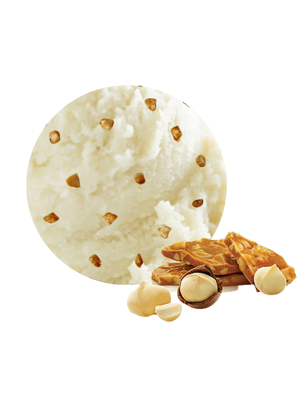 Vainilla con nueces de Macadamia (Crema 2,5 litros)