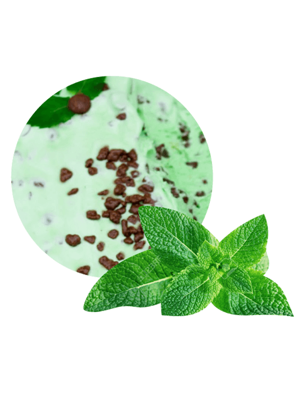 Menta verde con trocitos choco (crema 2,5 litros)