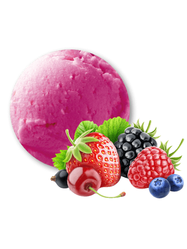 Fruits del bosc (sorbet 2,5 litres)