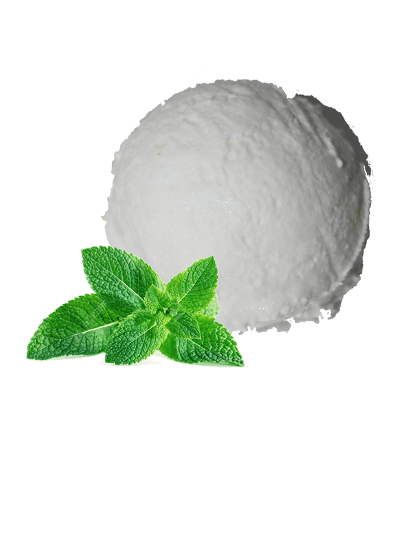 Menta blanca (sorbet 2,5 litres)