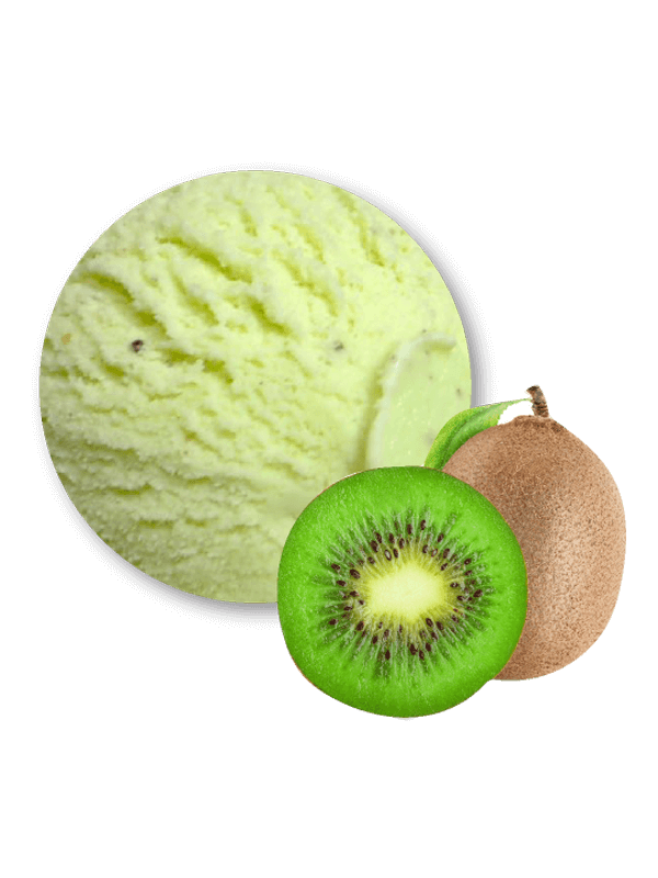 Kiwi (sorbet 2,5 litres)