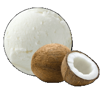 Coco amb polpa (crema 2,5 litres)